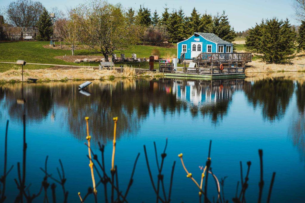 Ellis Nature Centre - blue shed for school programs
