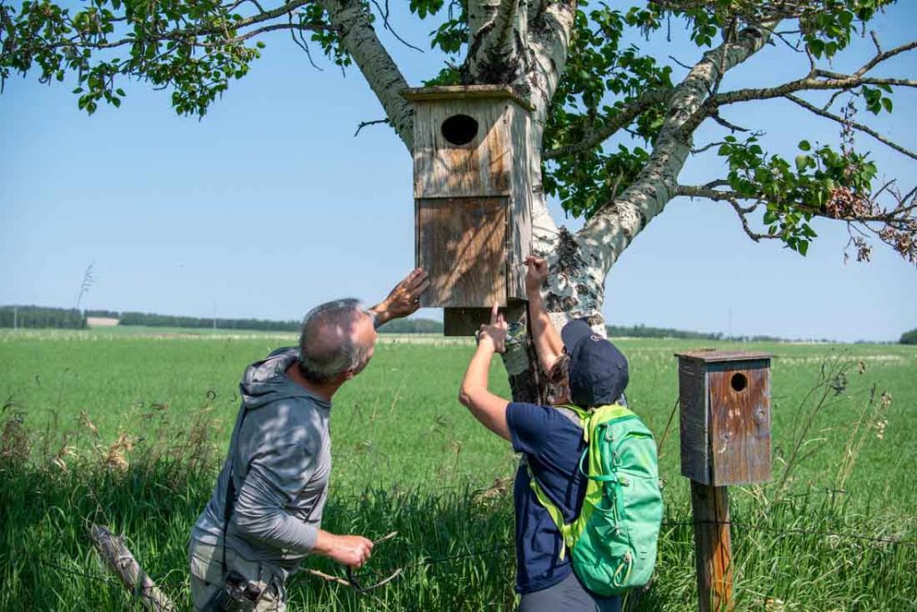 2 people checking a birdhouse in a tree