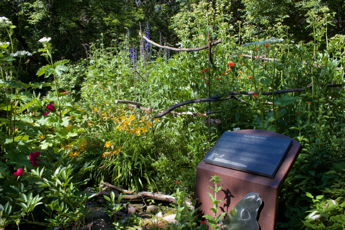 butterfly gardens at Ellis Nature Centre