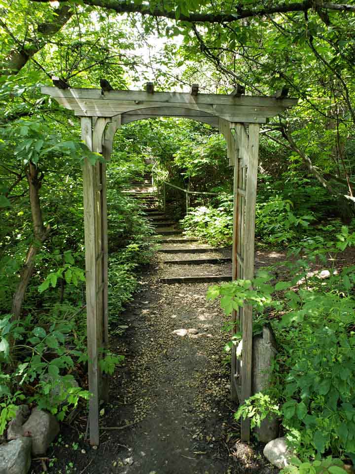 trellis gate into sunlit forest