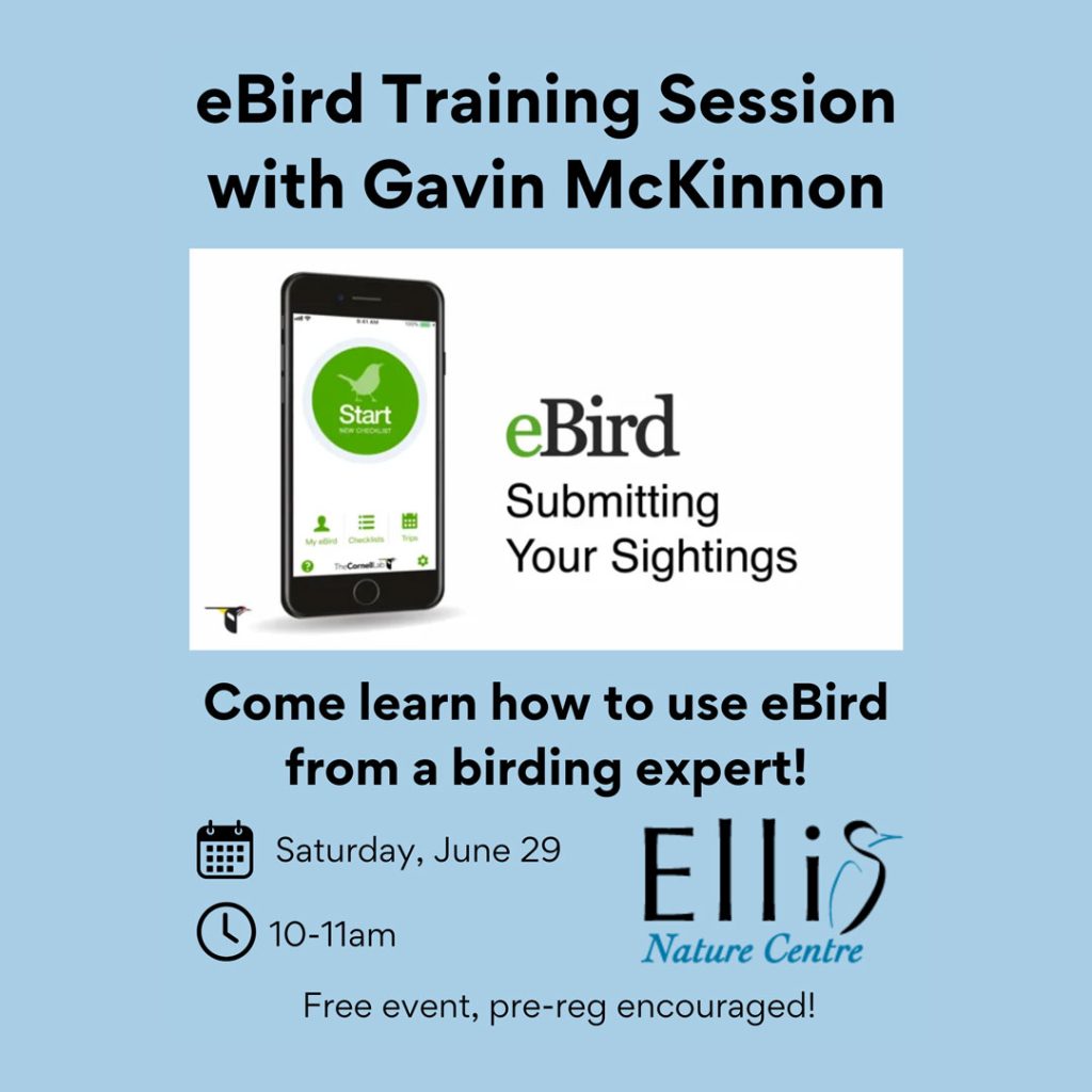 Ellis Nature Centre - eBird Training Session with Gavin McKinnon
