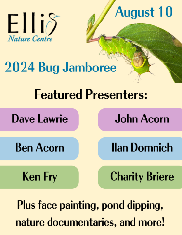 Bug Jamboree