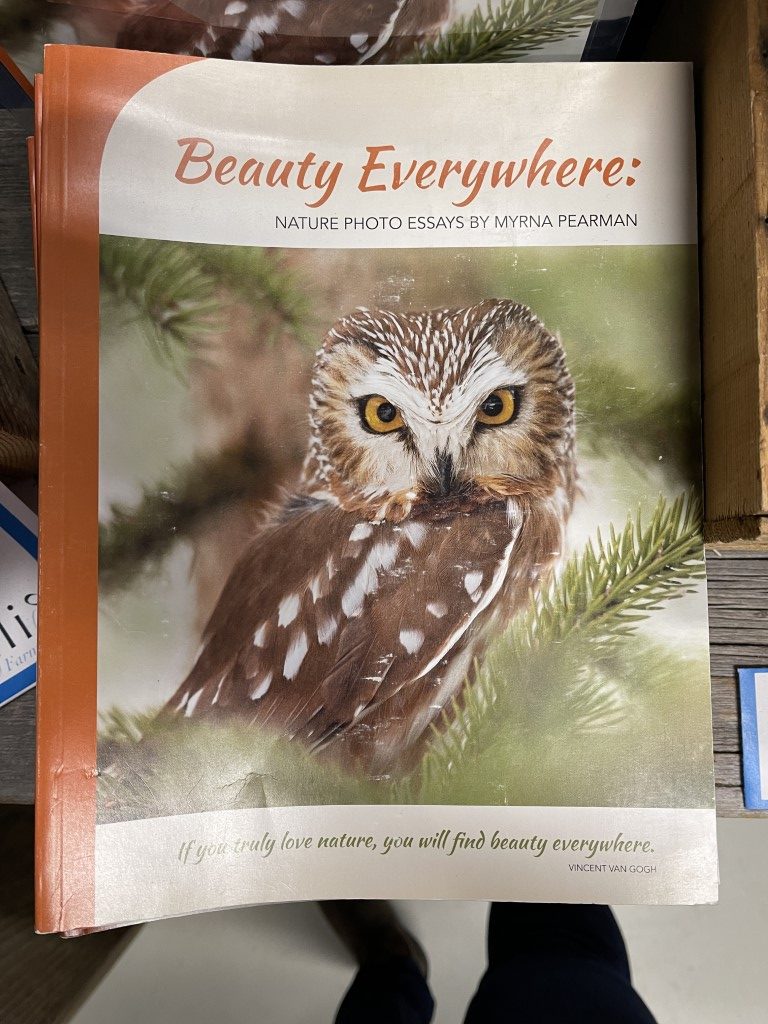 book - beauty everywhere