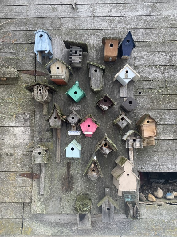 wall of nestboxes