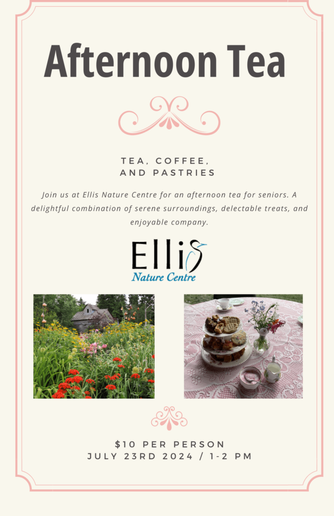 July 23 seniors tea