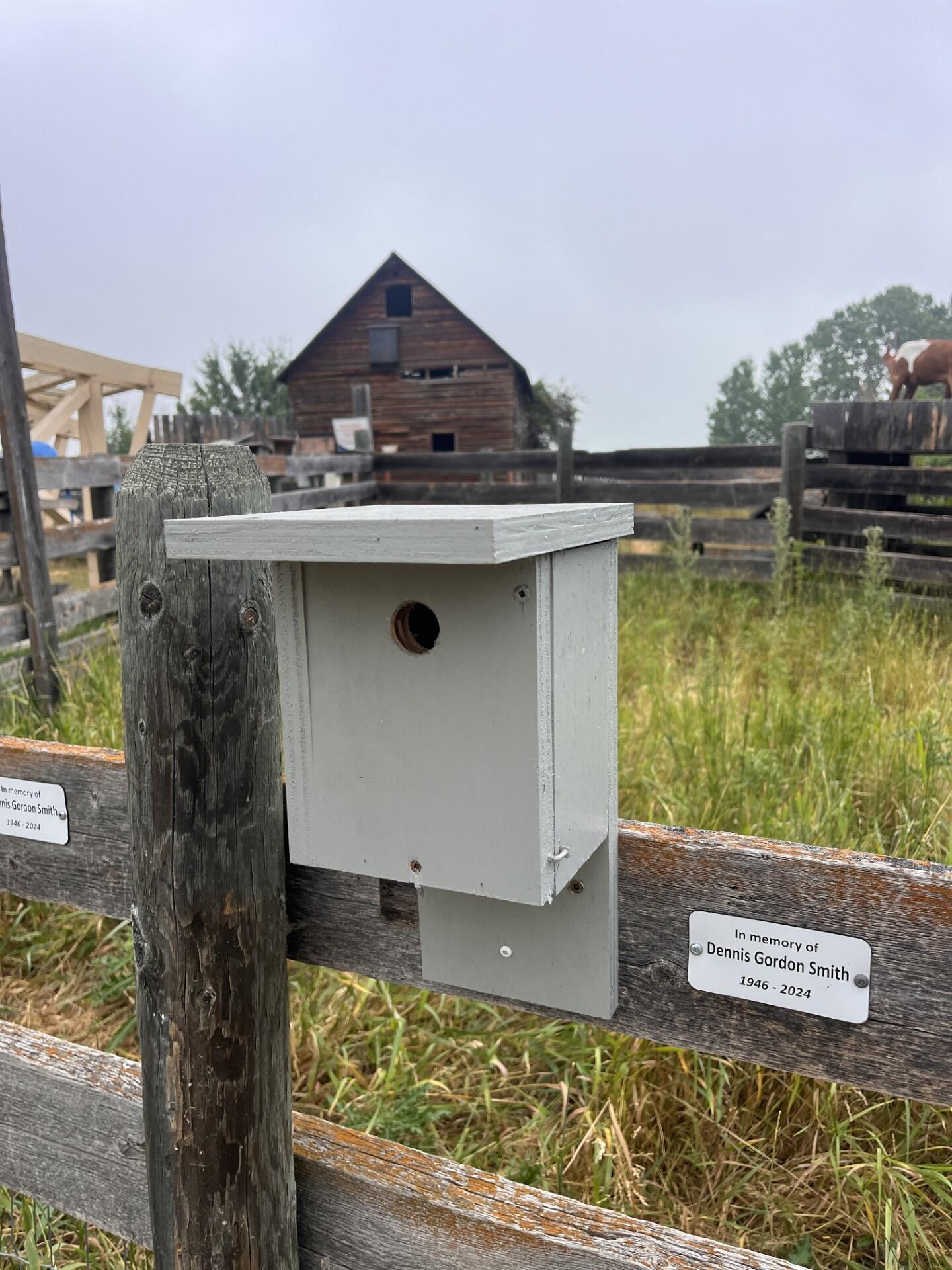 Chickadee nestbox