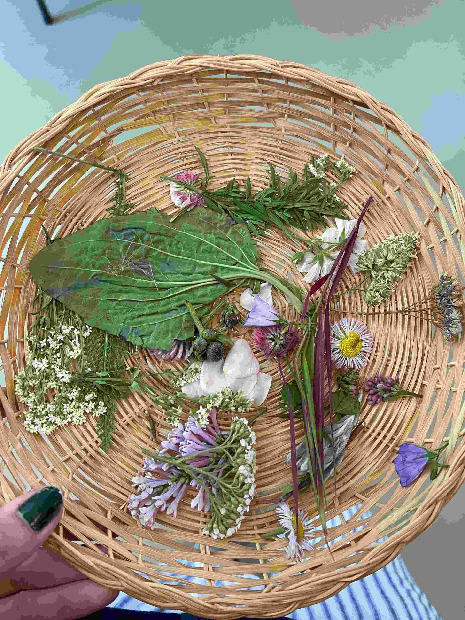 basket with plants and flowers found in nature