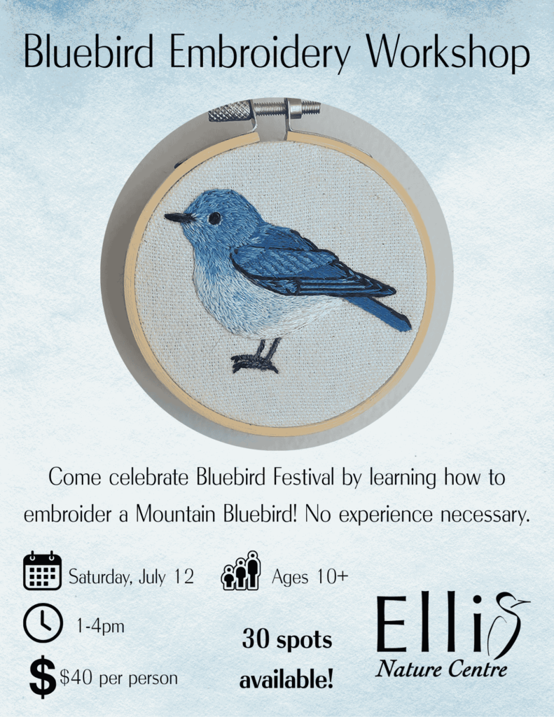 Bluebird Embroidery Poster