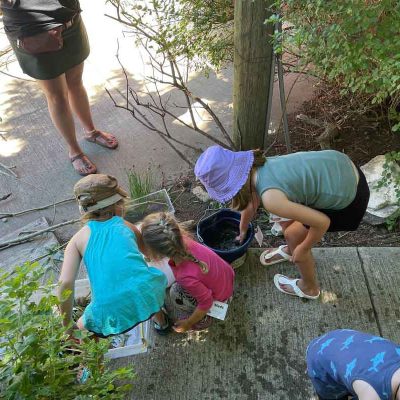 Ellis Nature Centre - children digging in the dirt