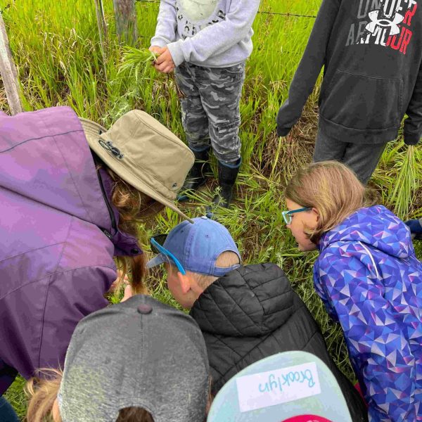 kids looking at something in grass