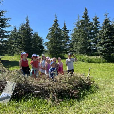 nest full of children at Ellis Nature Centre