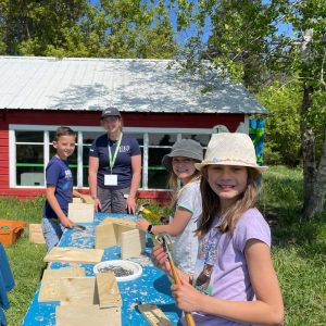 building-birdhouses